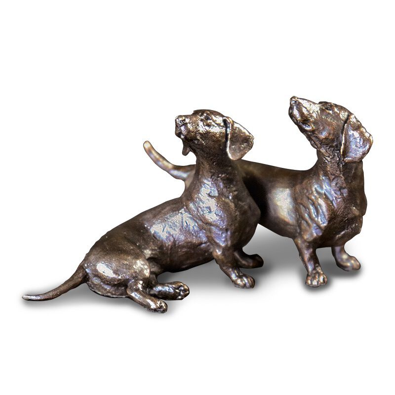 darling dachshunds bronze UK DDBZ a main