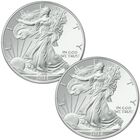 The Mystery Mint American Eagle Silver Dollar Collection SEB 1