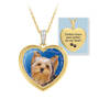 pawprints on my heart crystal yorkie pendant UK YCZDP a main