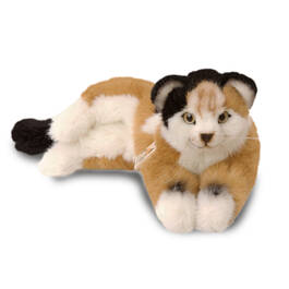 celsa the tortoiseshell cat by kosen UK KCTC a main