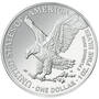 2022 uncirculated flying american eagle silver dollar U22 c Coin