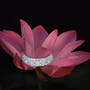 The Lotus Flower Eternity Ring, The Lotus Flower Eternity Ring 11577 0018 c ring