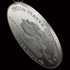 Americas Largest Silver Coin AB5 2