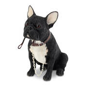 LETS GO FRENCHIE BLACK UK LGFB a main