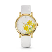spring daffodils watch UK SDW b two