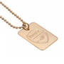 the arsenal fc gold plated dog tag UK ARGDT a main