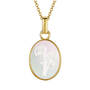 MOTHER OF PEARL FLOWER PENDANT UK MOOP a main