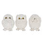 mystic owl trio UK MOWT a main
