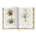 redoute the book of flowers UK RTBF e five