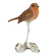 early morning visitor robin UK EMVR2 a main