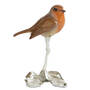 early morning visitor robin UK EMVR2 a main