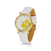 spring daffodils watch UK SDW a main