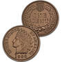 uncirculated collection of indian heads and buffalos PNU d Coin