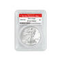 mystery mint american eagle silver dollar UK DSEB b two