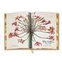 redoute the book of flowers UK RTBF e six