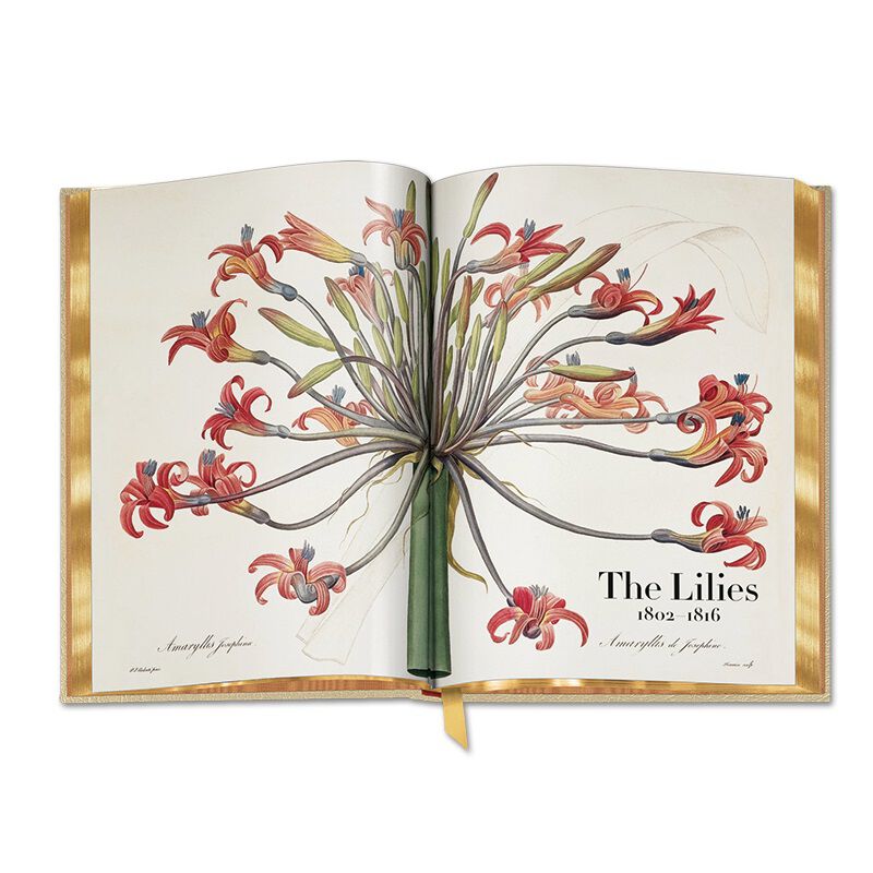 redoute the book of flowers UK RTBF e six