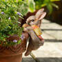 beatrix potter pot hangers UK BPPH d four