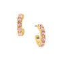 Seven Shades of Wonderful 14 Pair Earring Collection 12175 0012 f earring