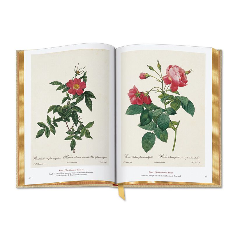redoute the book of flowers UK RTBF c three