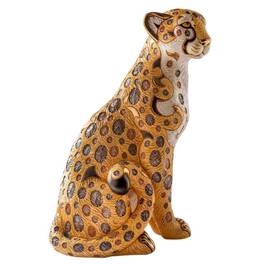 Graceful golden cheetah UK GGCH a main