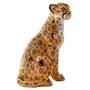 Graceful golden cheetah UK GGCH a main