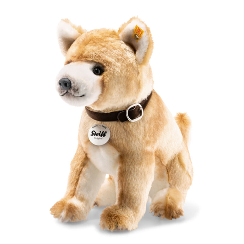 Shiba teddy bear shop