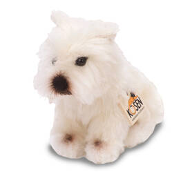 kosen west highland terrier UK KEW a main
