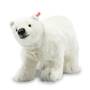 the steiff winter crystal polar bear UK STPOB a main