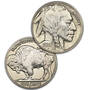uncirculated collection of indian heads and buffalos PNU c Coin